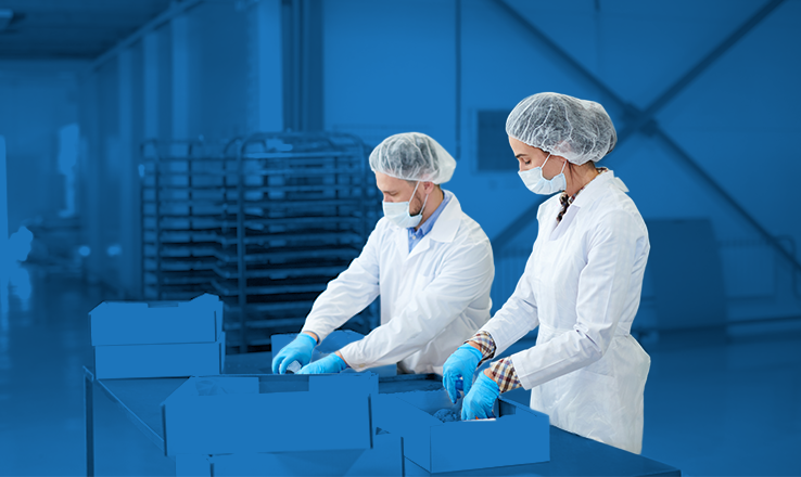 Airline Catering Jobs Banner Image