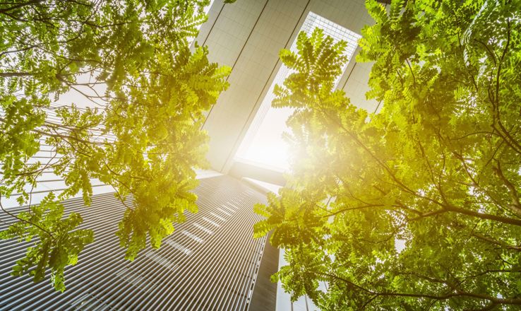 Types of green construction jobs