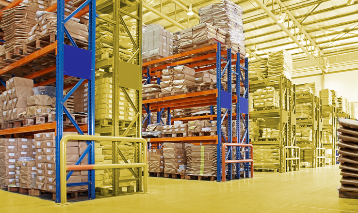 Amazon Story
