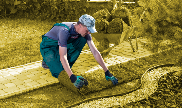 Day Laborer Jobs