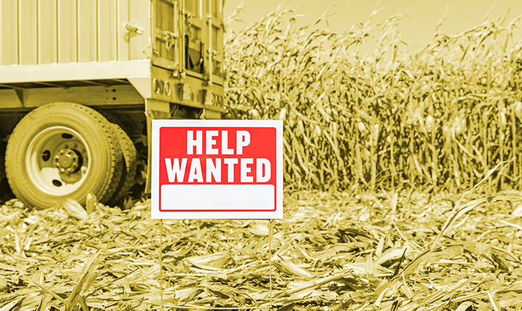 Labor Shortage